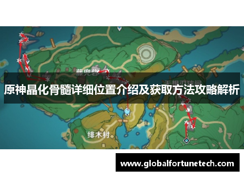 原神晶化骨髓详细位置介绍及获取方法攻略解析